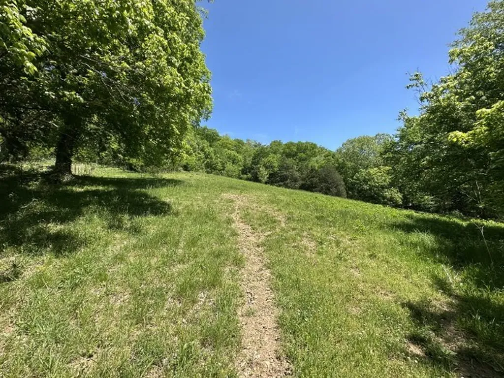 202 Maggart Road Elmwood TN 38560