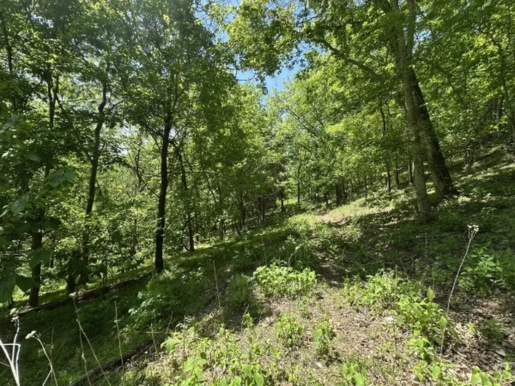 202 Maggart Road Elmwood TN 38560