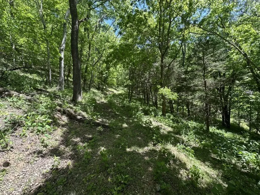 202 Maggart Road Elmwood TN 38560