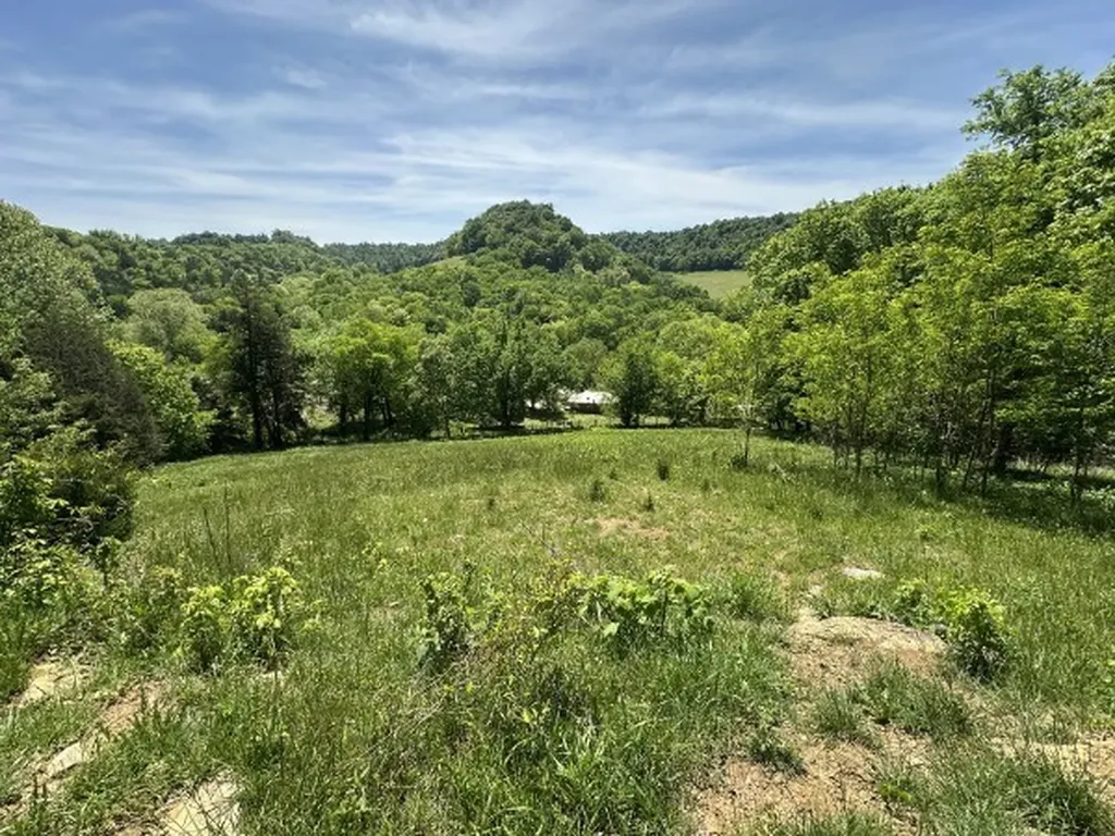 202 Maggart Road Elmwood TN 38560
