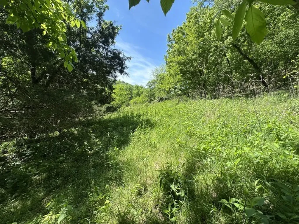 202 Maggart Road Elmwood TN 38560