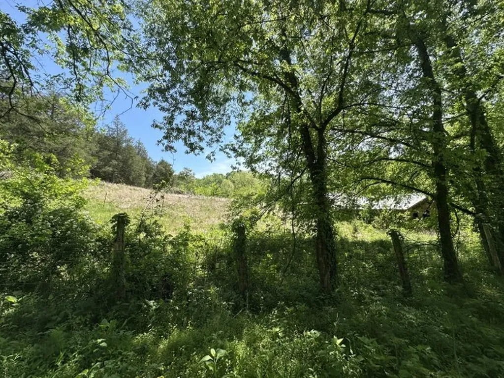 202 Maggart Road Elmwood TN 38560