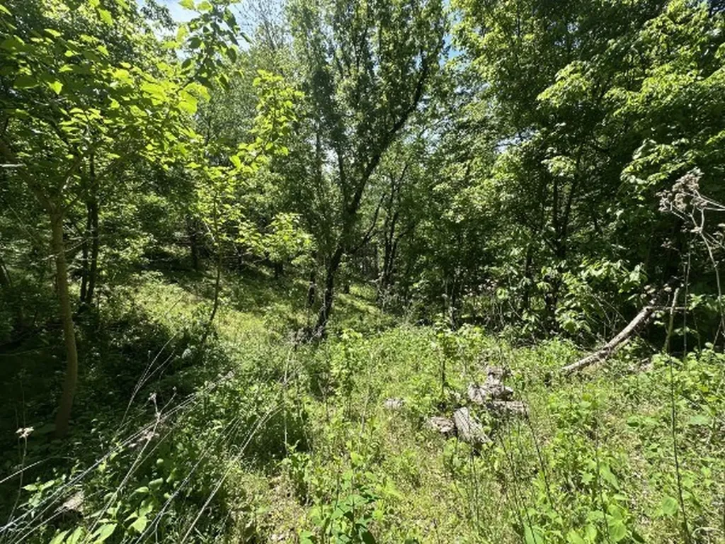 202 Maggart Road Elmwood TN 38560