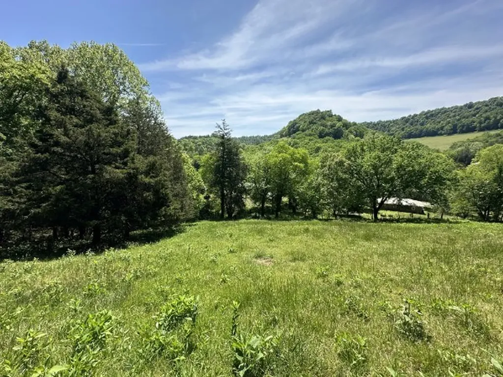 202 Maggart Road Elmwood TN 38560