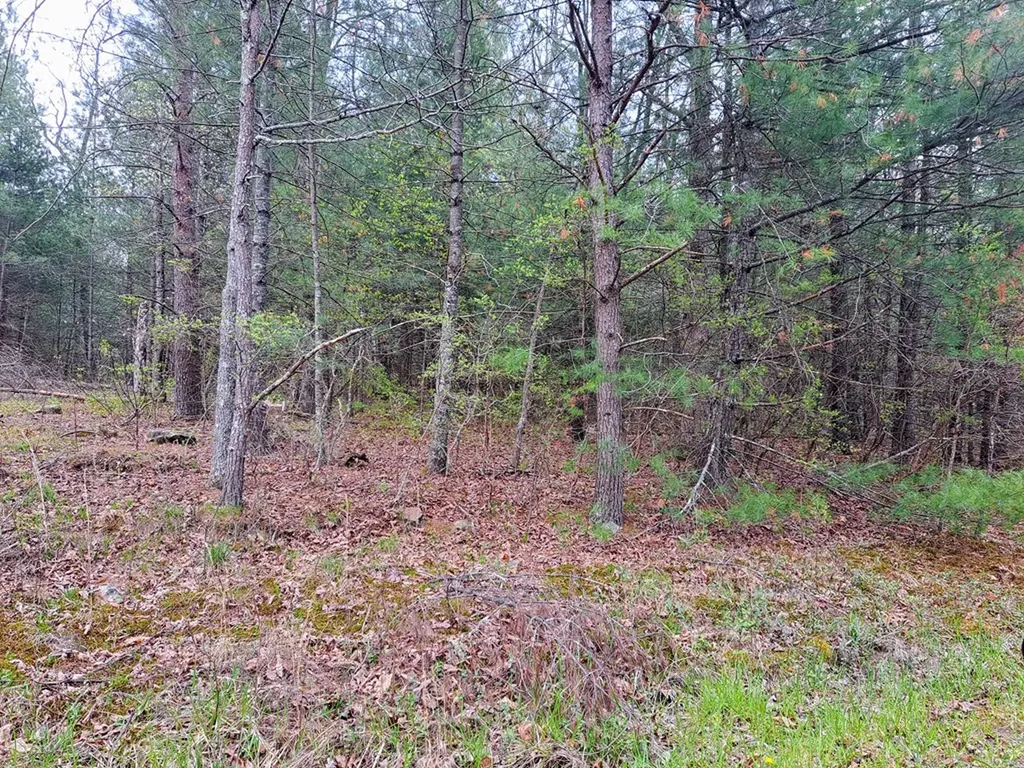 927 Paola Drive Crossville TN 38572