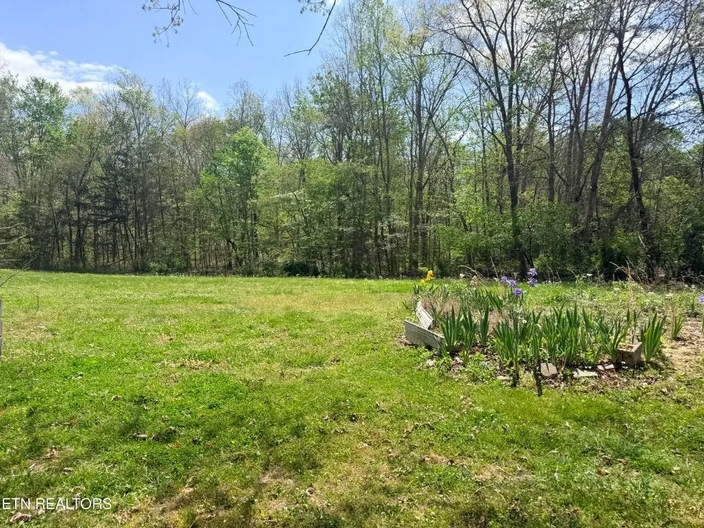 1243 Franklin Loop Clarkrange TN 38553-5175
