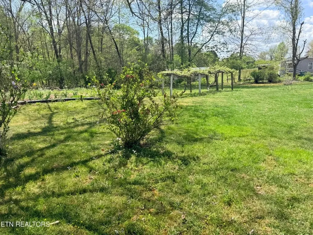 1243 Franklin Loop Clarkrange TN 38553-5175