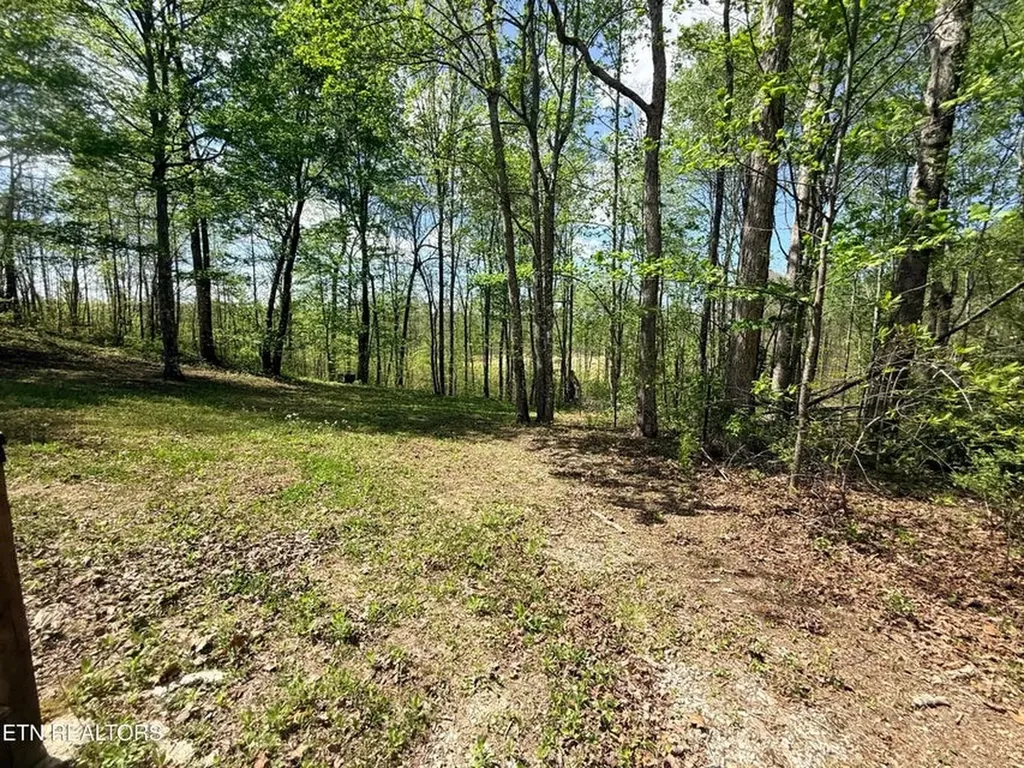 242 Joe Barnett Road Jamestown TN 38556