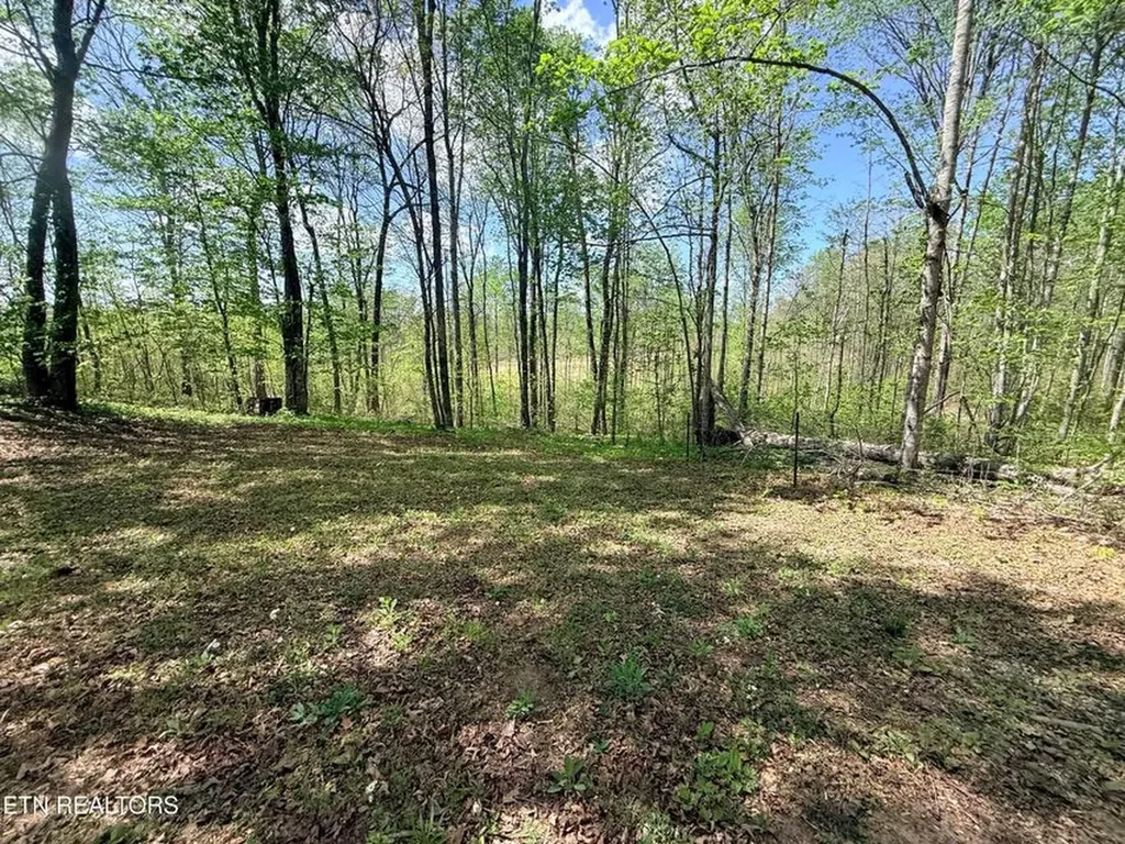 242 Joe Barnett Road Jamestown TN 38556