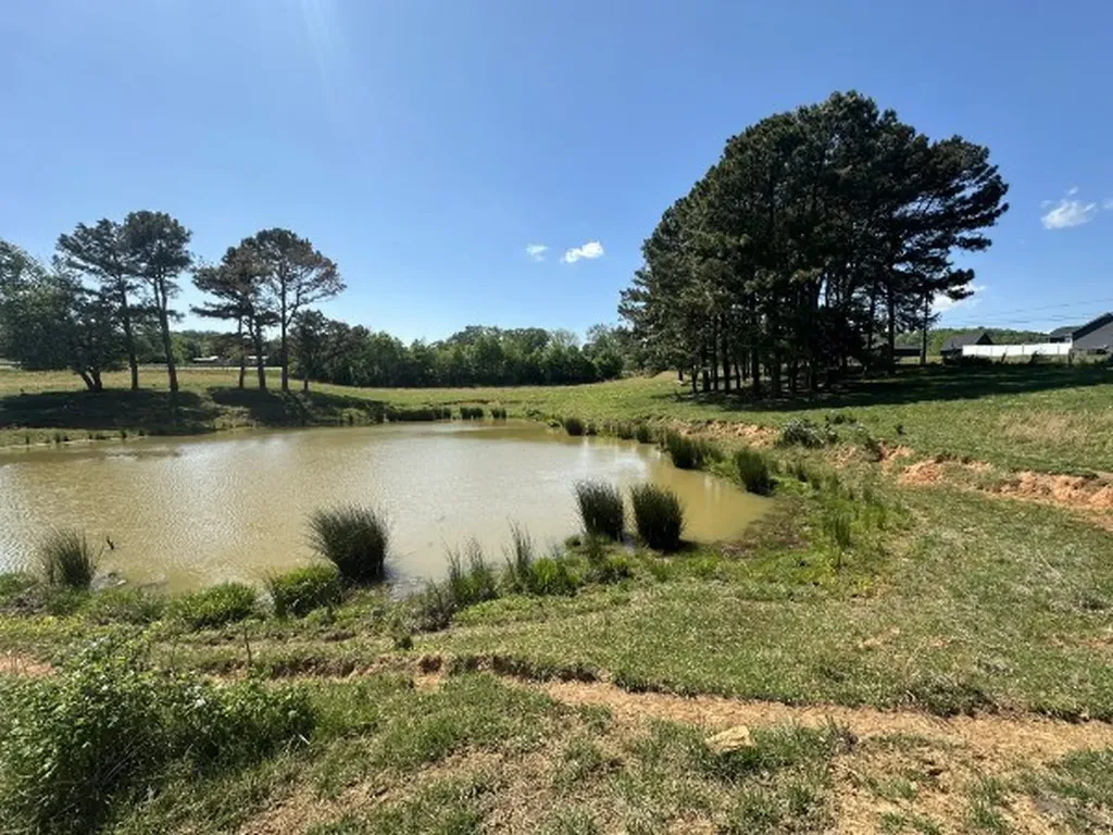 0 Charles Golden Road Sparta TN 38583