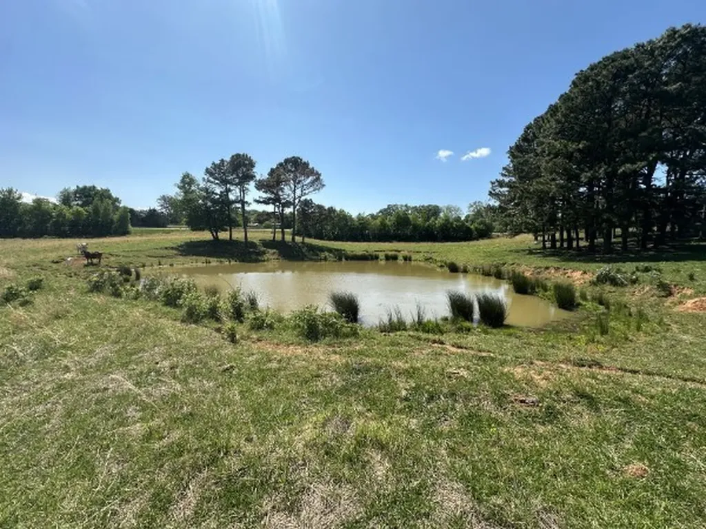0 Charles Golden Road Sparta TN 38583
