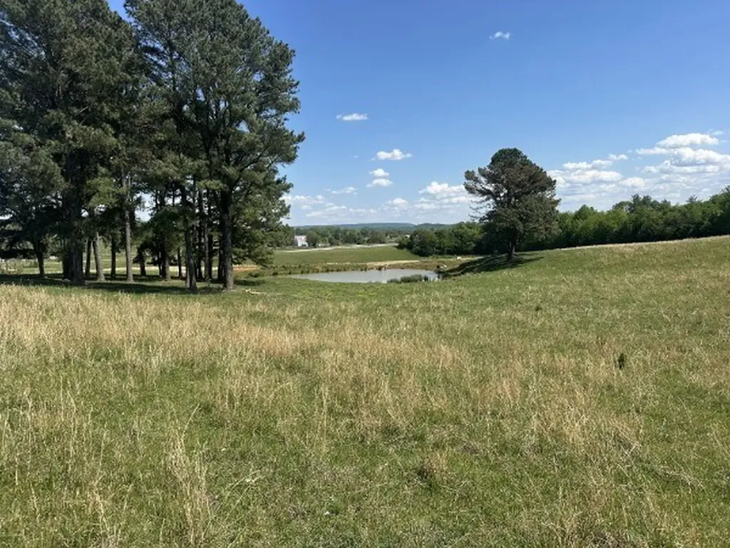 0 Charles Golden Road Sparta TN 38583