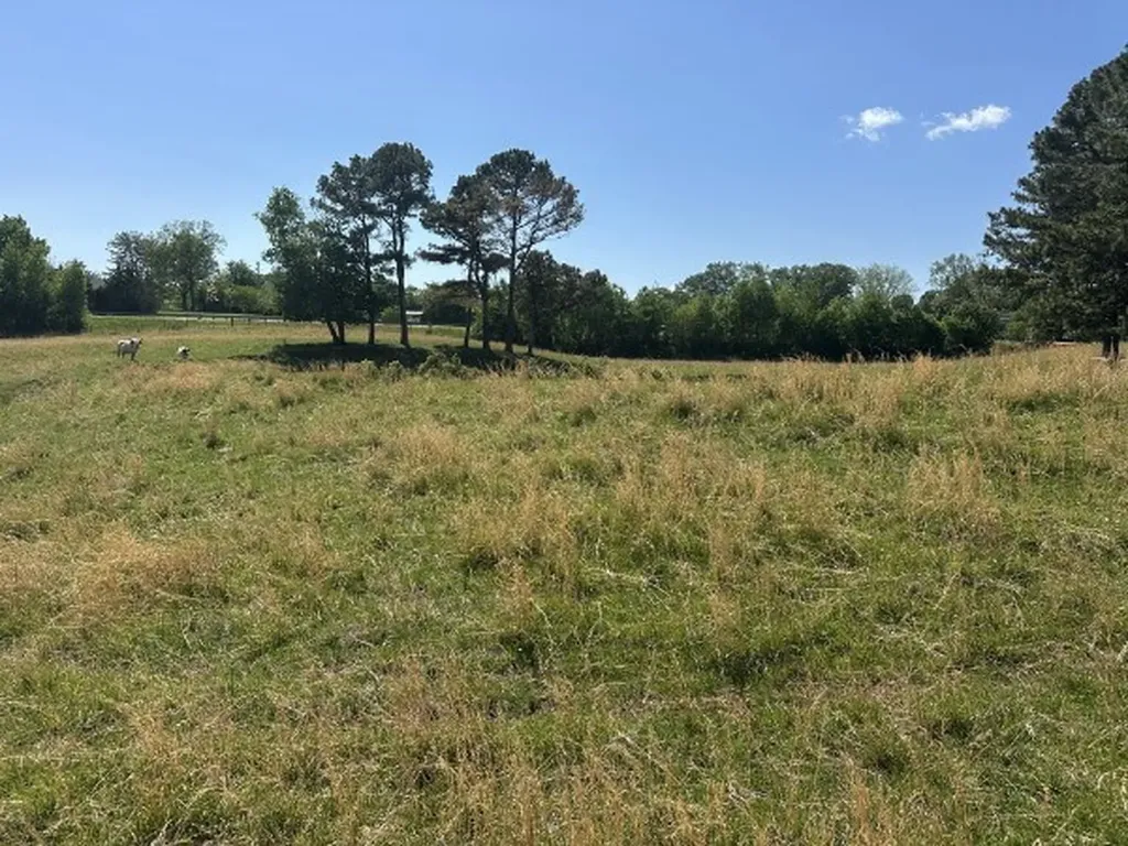 0 Charles Golden Road Sparta TN 38583