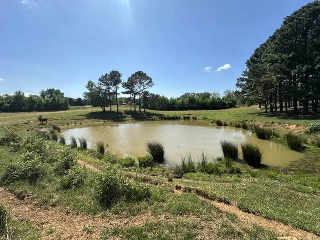 0 Charles Golden Road Sparta TN 38583