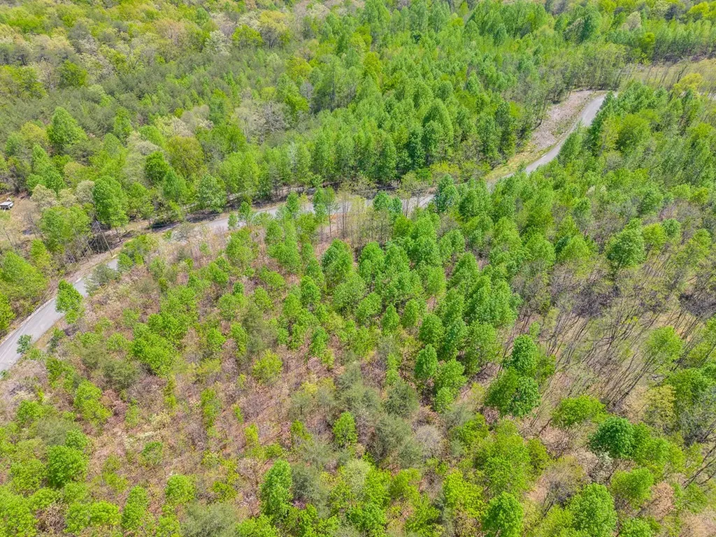 0 Overlook Drive Spencer TN 38585