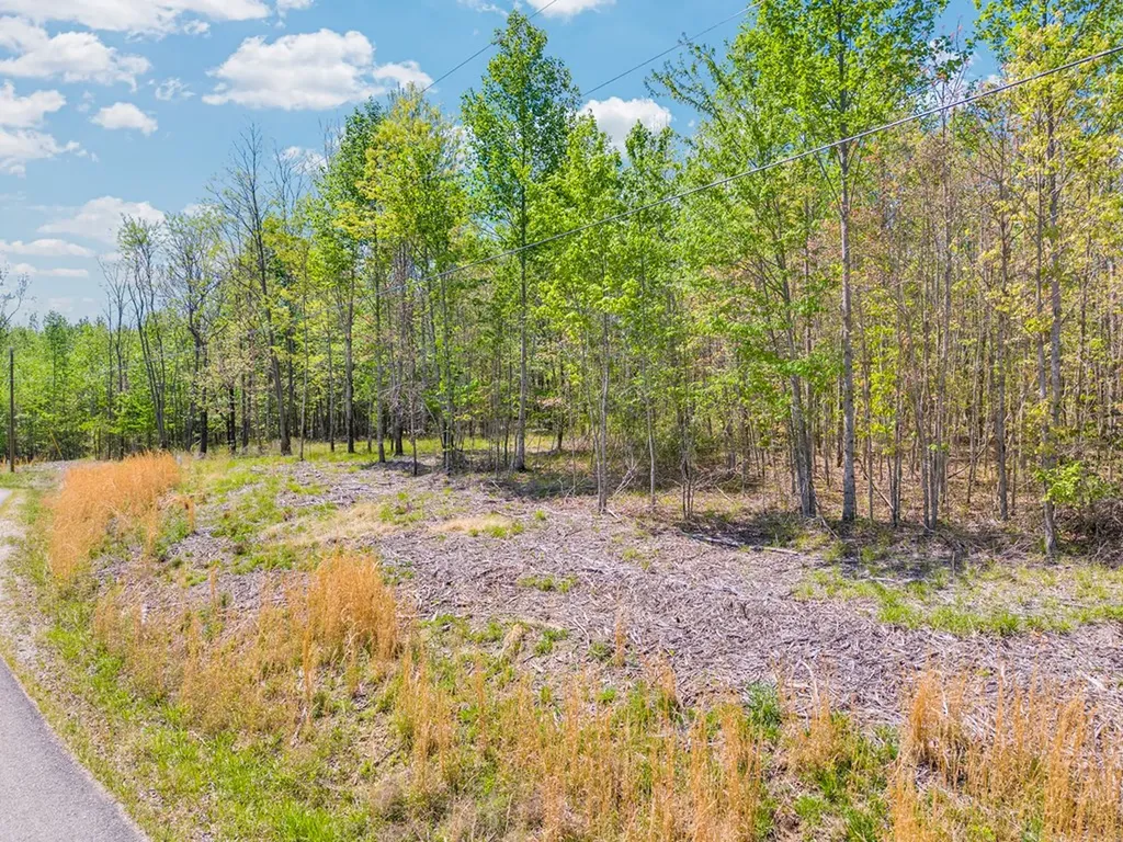 0 Overlook Drive Spencer TN 38585