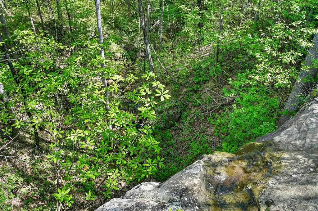 334 Honey Springs Road Crawford TN 38554