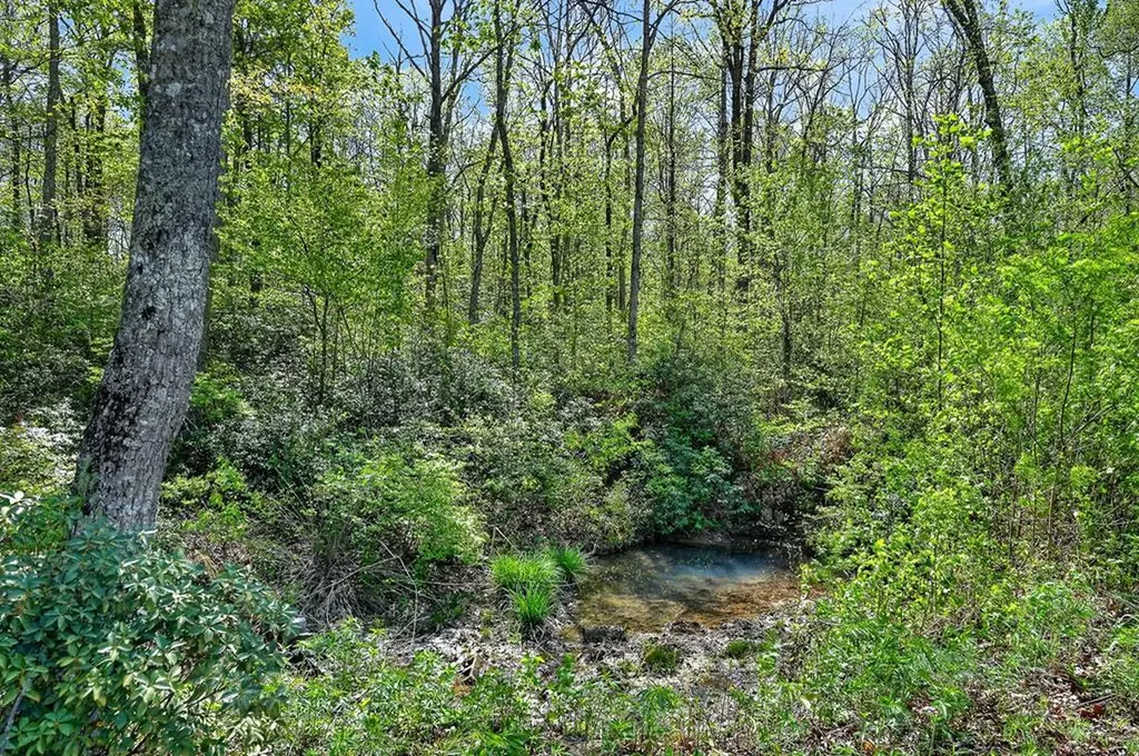 334 Honey Springs Road Crawford TN 38554