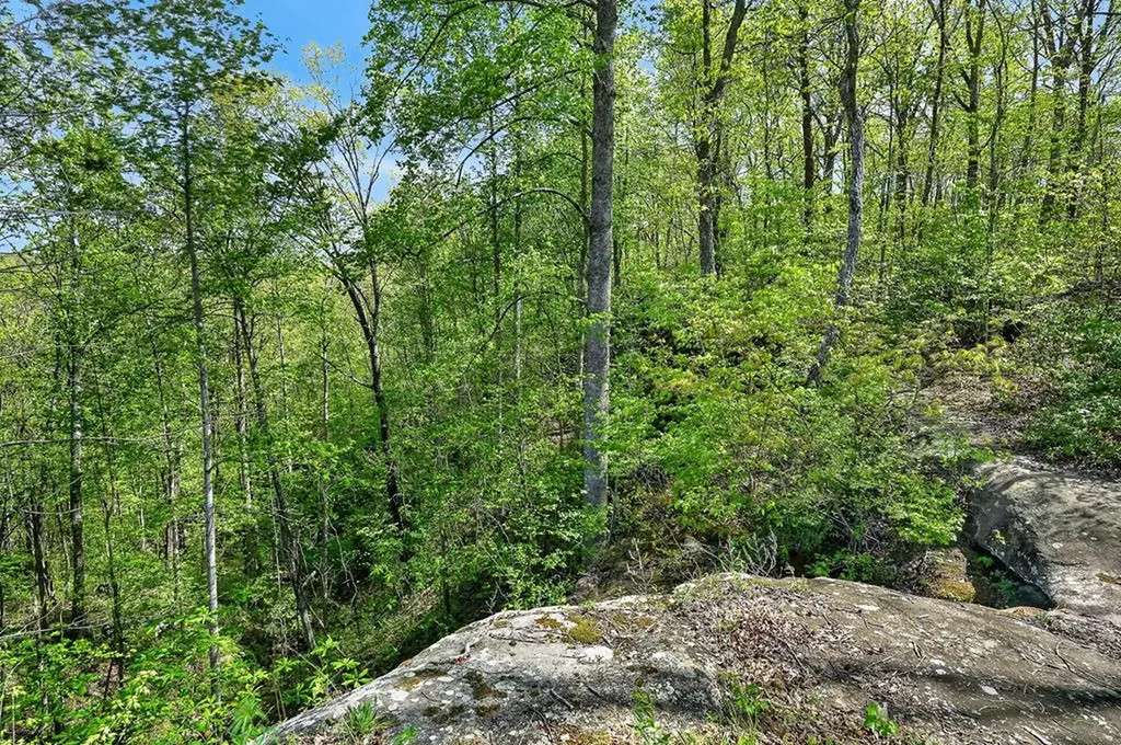 334 Honey Springs Road Crawford TN 38554