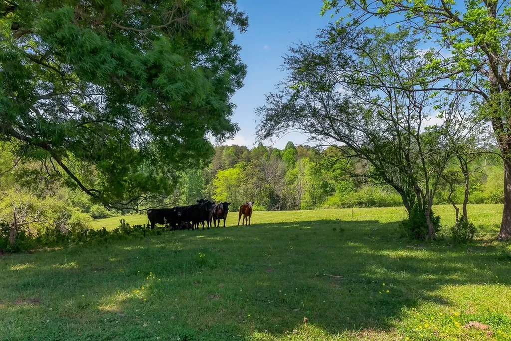 0 Corinth Church Road Smithville TN 37166