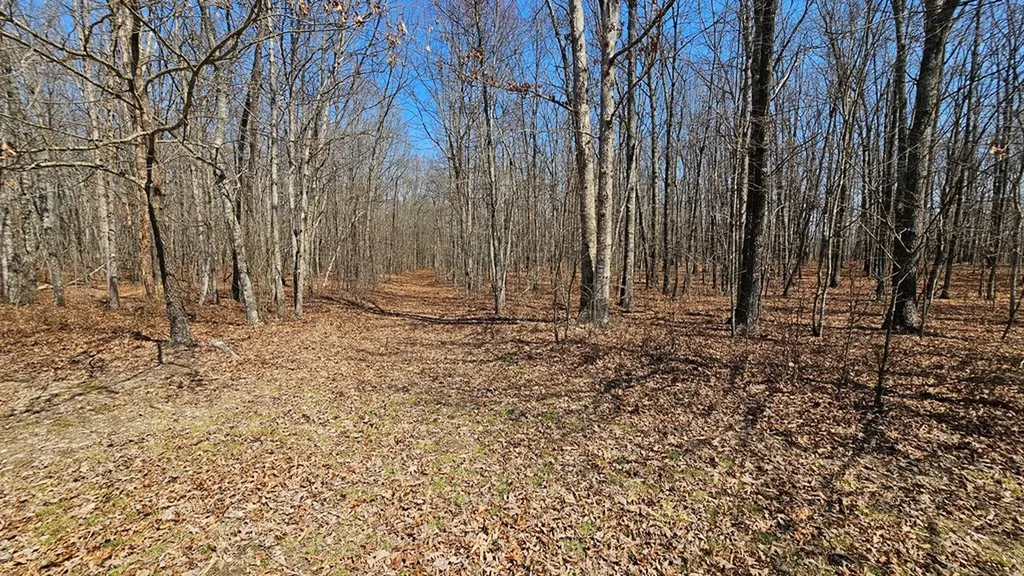 Lot 136 Camp Creek Circle Spencer TN 38585