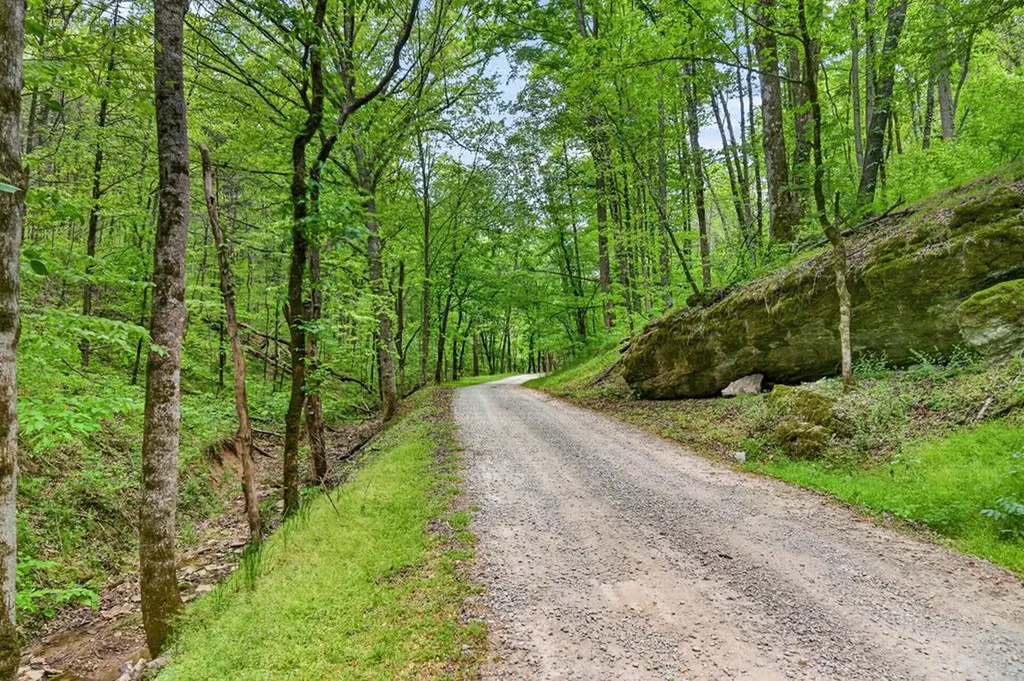 360 Long Hollow Lane Gainesboro TN 38562