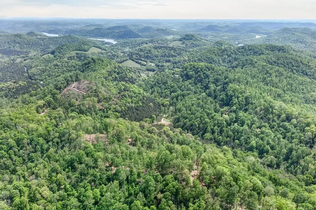 360 Long Hollow Lane Gainesboro TN 38562