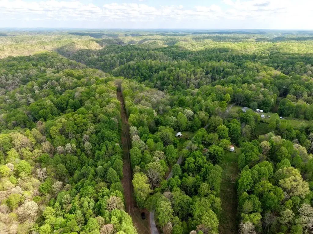 0 North Fork Road Whitleyville TN 38588