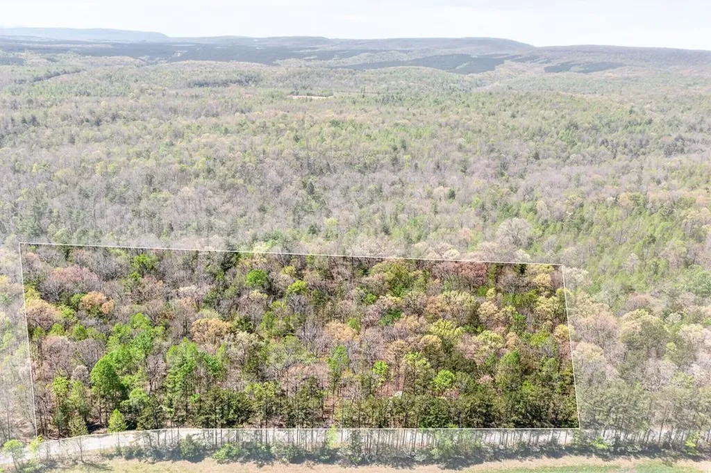 Lot 3 Smith Mountain Road Rockwood TN 37854