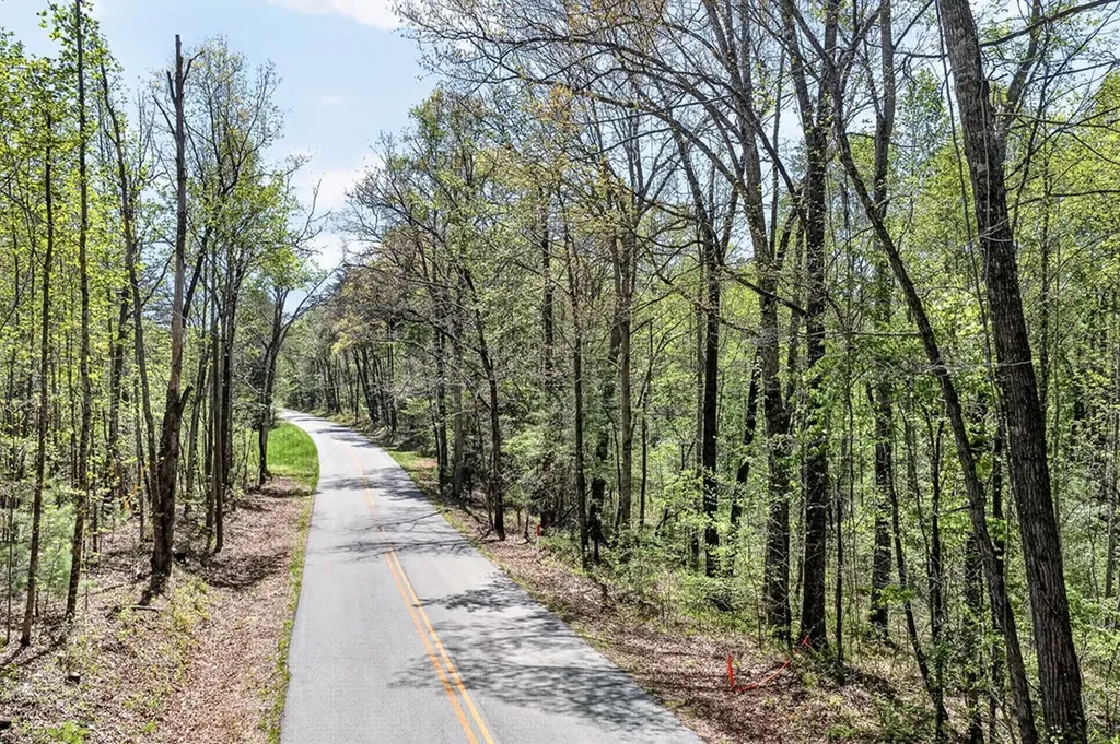 Lot 3 Smith Mountain Road Rockwood TN 37854