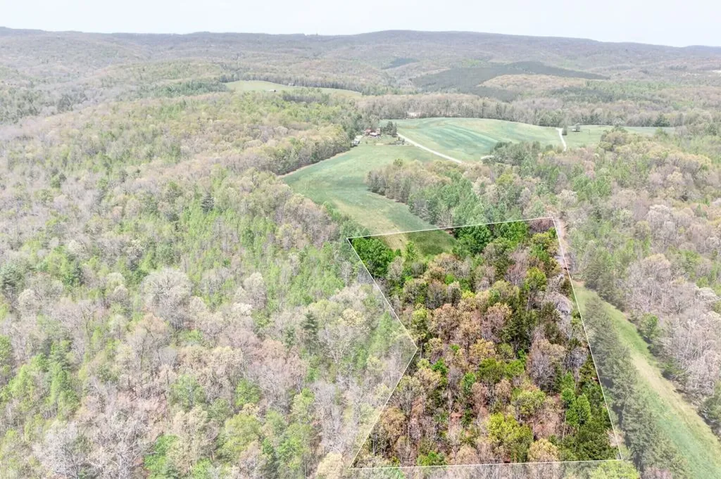 Lot 4 Smith Mountain Road Rockwood TN 37854