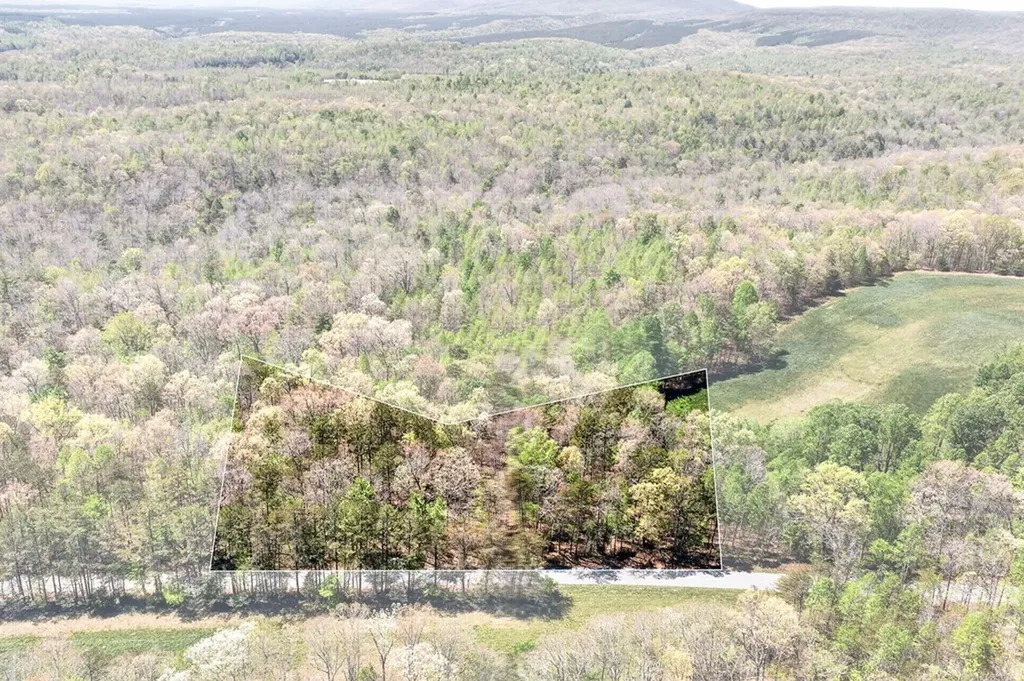 Lot 4 Smith Mountain Road Rockwood TN 37854
