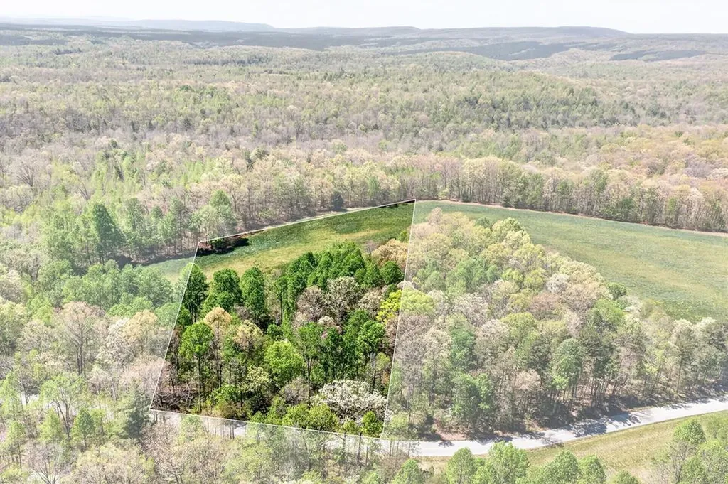 Lot 5 Smith Mountain Road Rockwood TN 37854