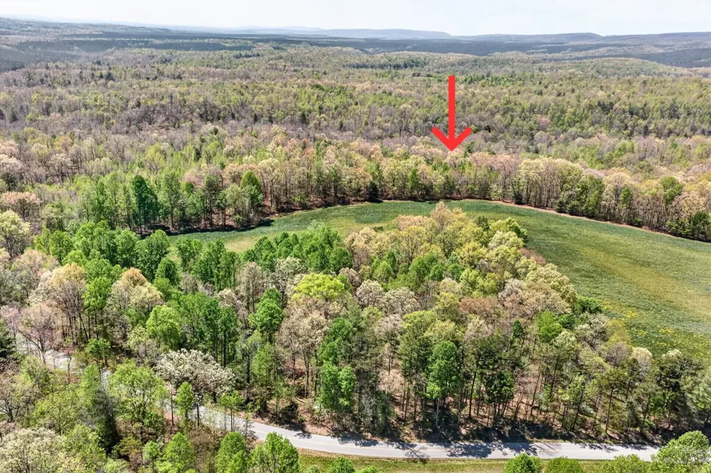 Lot 5 Smith Mountain Road Rockwood TN 37854