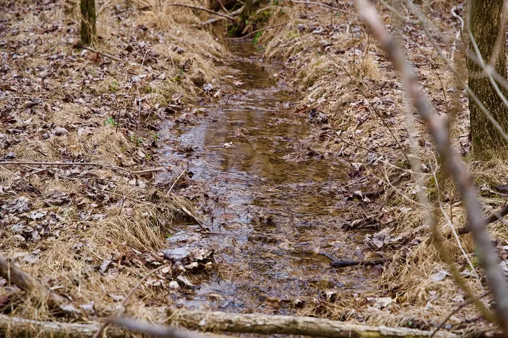 13.72AC Madewell Road Spencer TN 38585