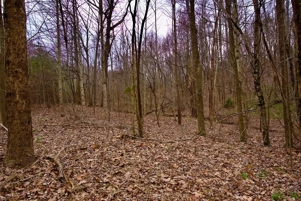 13.72AC Madewell Road Spencer TN 38585