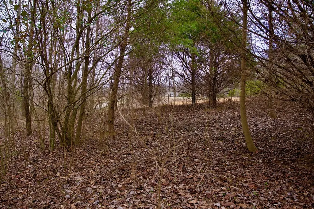 13.72AC Madewell Road Spencer TN 38585