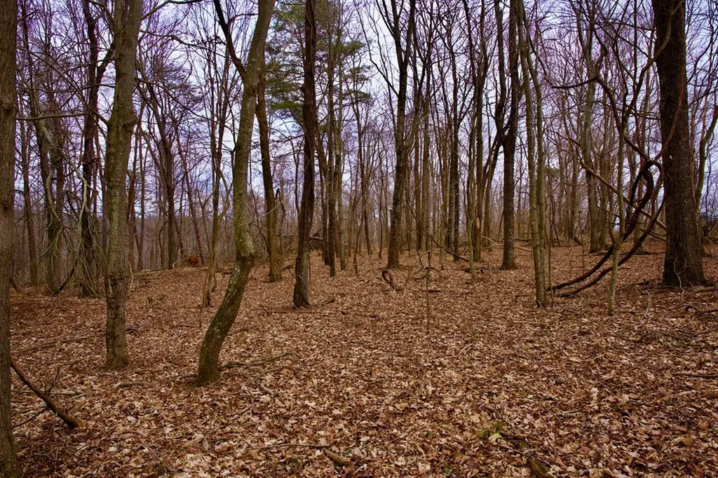 13.72AC Madewell Road Spencer TN 38585