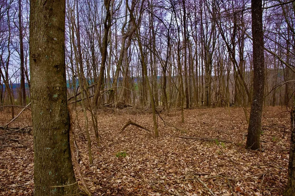 13.72AC Madewell Road Spencer TN 38585