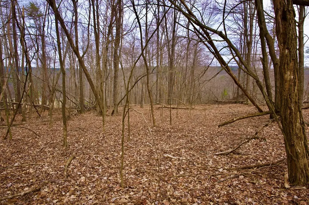 13.72AC Madewell Road Spencer TN 38585