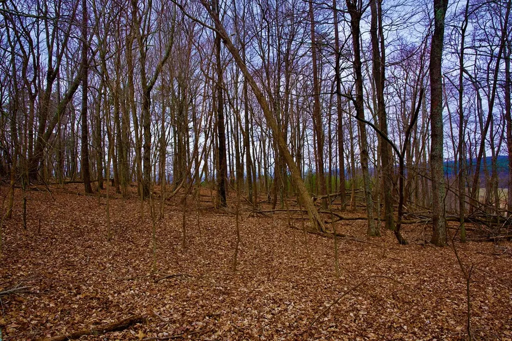 13.72AC Madewell Road Spencer TN 38585