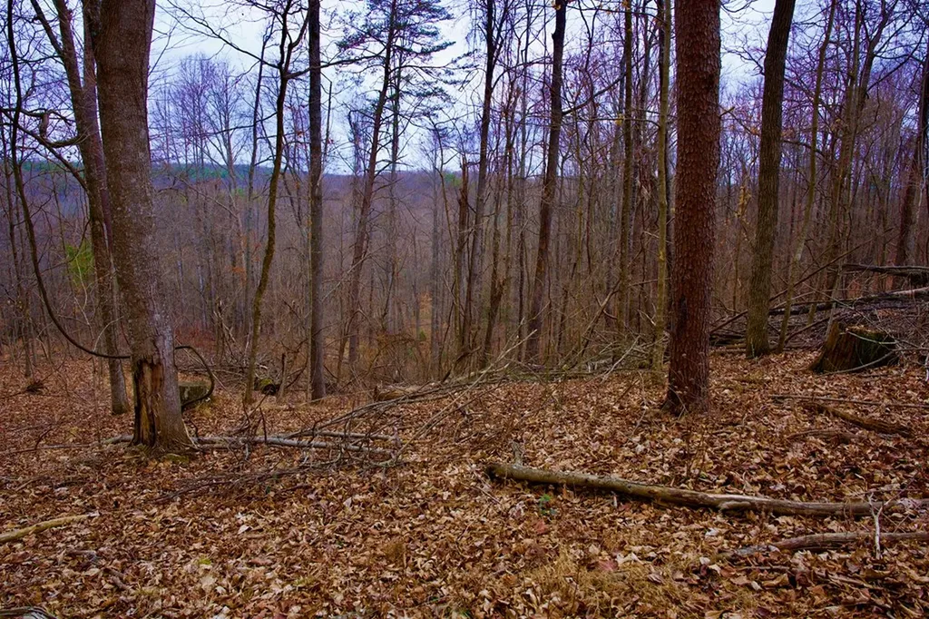 13.72AC Madewell Road Spencer TN 38585