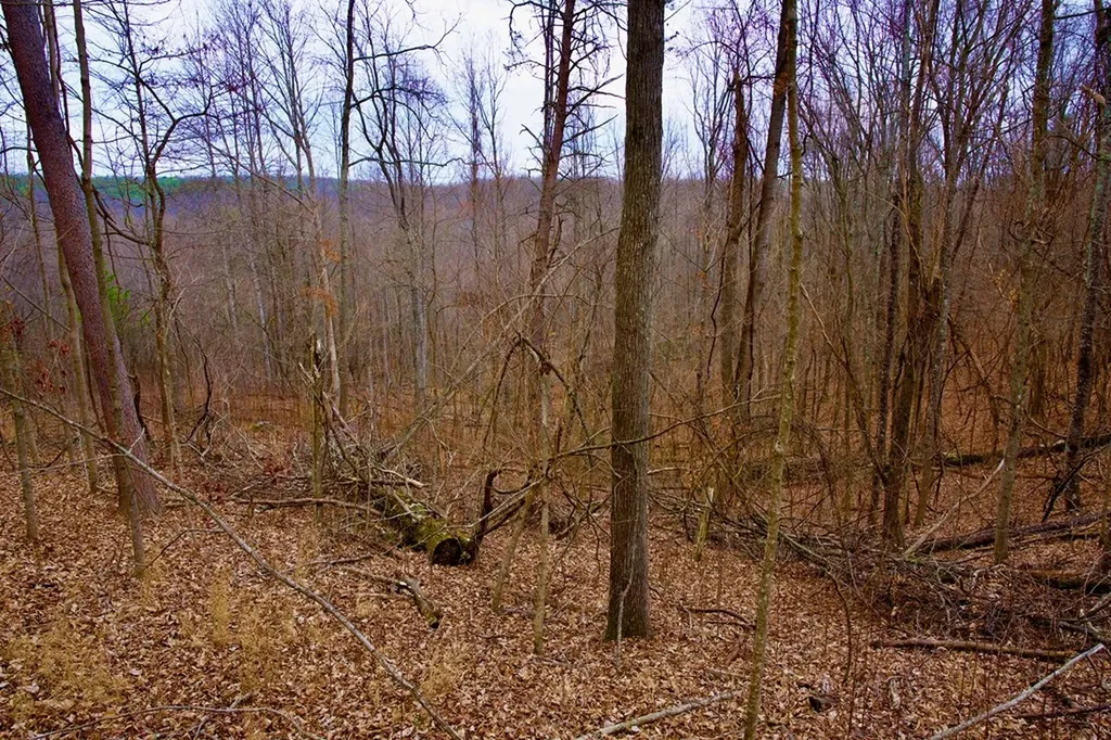 13.72AC Madewell Road Spencer TN 38585