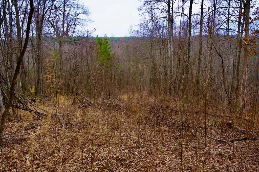 13.72AC Madewell Road Spencer TN 38585