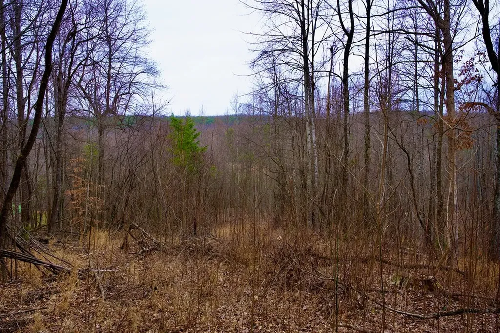 13.72AC Madewell Road Spencer TN 38585