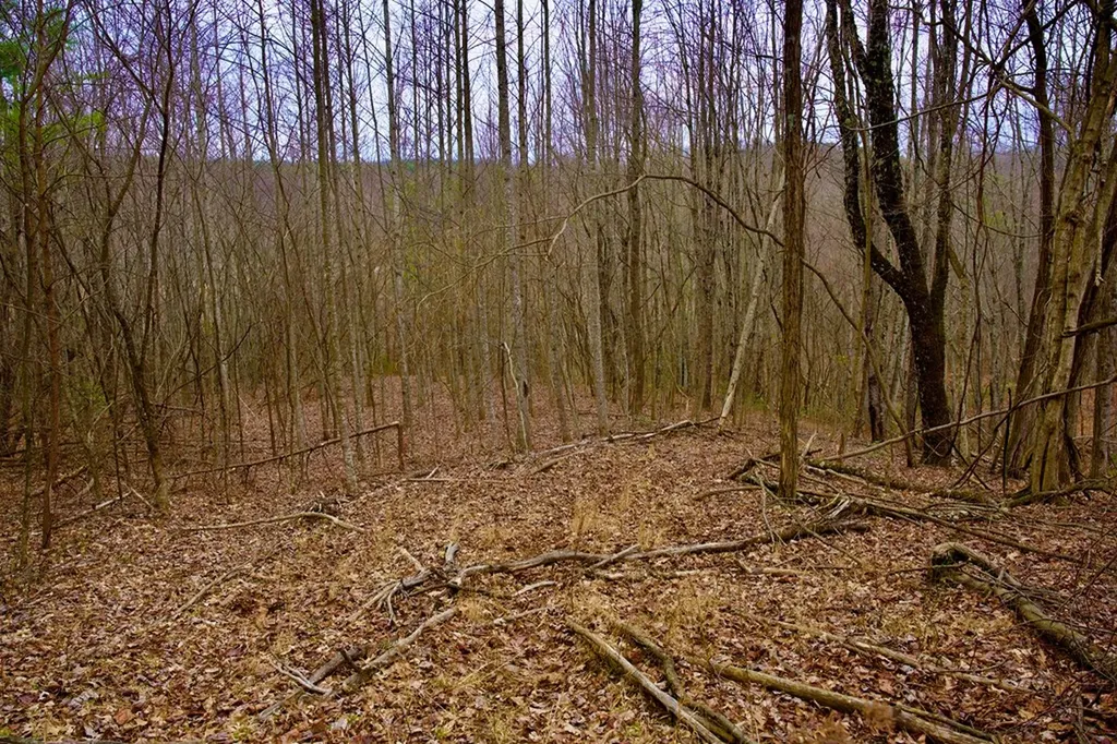 13.72AC Madewell Road Spencer TN 38585