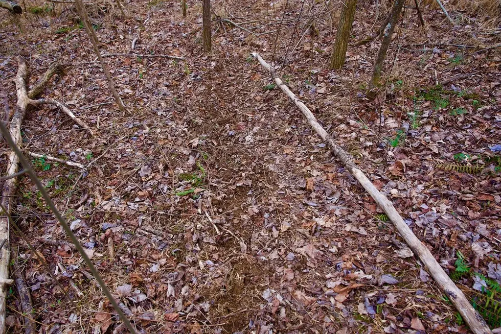 13.72AC Madewell Road Spencer TN 38585
