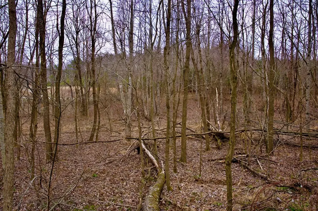 13.72AC Madewell Road Spencer TN 38585