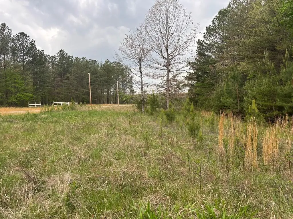Lot 53 Pioneer Lane Spencer TN 38585