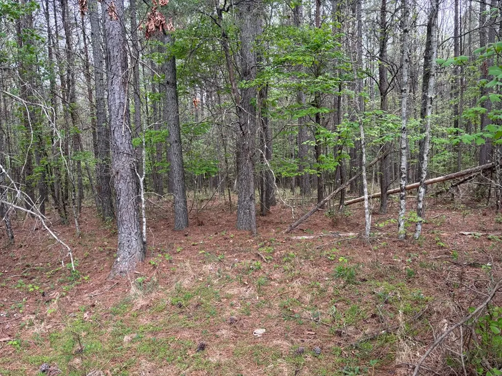Lot 53 Pioneer Lane Spencer TN 38585